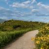 Lloguer de cotxes barat a Camino North Route