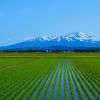 山形県の格安レンタカー