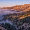 Letovi za regiju 'Mount Lebanon'