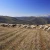 Aluguel de carro barato em Trás-os-Montes e Alto Douro