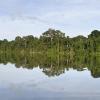 Aluguel de carro barato em Amapá