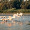 رحلات طيران إلى Donau