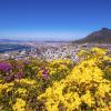 Flights to Western Cape