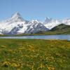 Aluguer de carro barato em Bernese Oberland