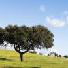 Location de voiture pas chère dans la région : Alentejo