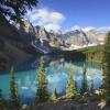 Mga flight papuntang Alberta