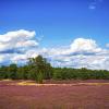 Günstige Mietwagen in der Region Lüneburger Heide
