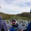 Everglades National Park低价租车