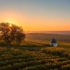 Günstige Mietwagen in der Region Rheingau