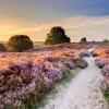 Voordelige huurauto's in Veluwe