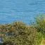 Cheap car rental in Gotland