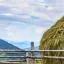 Cheap car rental in Bukovina