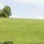 Cheap car rental in Cavan County
