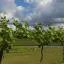 Cheap car hire in Margaret River Region