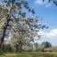 Cheap car rental in Betuwe