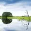Cheap car rental in Mato Grosso