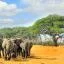 Cheap car rental in Hwange National Park