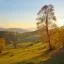 Cheap car rental in Vrancea