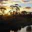 Cheap car hire in Riverina