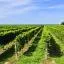 Voordelige huurauto's in Niagara Falls and Wine Country