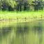 Cheap car rental in Ile de France