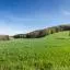 Cheap car rental in Aargau