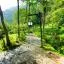 Cheap car rental in Risaralda