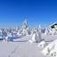 萨利赛卡雪场低价租车