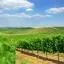 Cheap car rental in Alentejo Wine Route