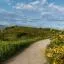 Cheap car rental in Camino North Route