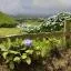 Cheap car rental in Serra Gaucha