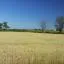 Voordelige huurauto's in Southwest Ontario