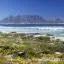 Cheap car rental in Table Bay