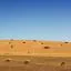 Cheap car hire in Central West NSW