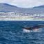 Cheap car rental in Overberg