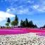 Cheap car rental in Saitama
