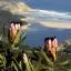Cheap car rental in Garden Route