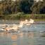 Cheap car rental in Danube