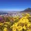Cheap car rental in Western Cape
