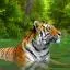 Thuê xe giá rẻ ở Sumatra