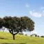 Cheap car rental in Alentejo