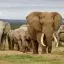 Cheap car rental in Eastern Cape