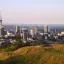 Cheap car rental in Auckland Region