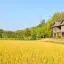 Cheap car rental in North-Eastern Thailand