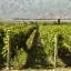Alquileres de auto baratos en Ruta del Vino de Mendoza