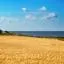 Wadden Sea National Park – lacný prenájom auta