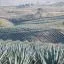 Cheap car rental in Jalisco