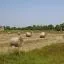 Tanie opcje wynajmu samochodu w regionie Southern Great Plain