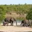 Cheap car rental in Kruger National Park
