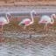 Cheap car rental in Nature Reserve Ria Formosa 